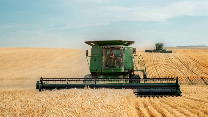 From Grain to Pick up: The Agribusiness Metamorphosis