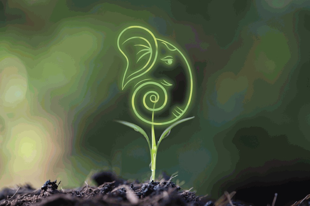 Eco-Friendly Ganesh Chaturthi