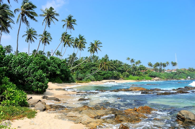 Palolem vs Agonda