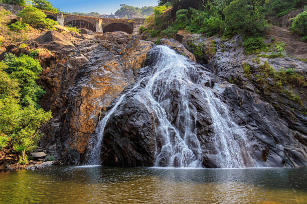 Dudhsagar Falls: Take A Dip