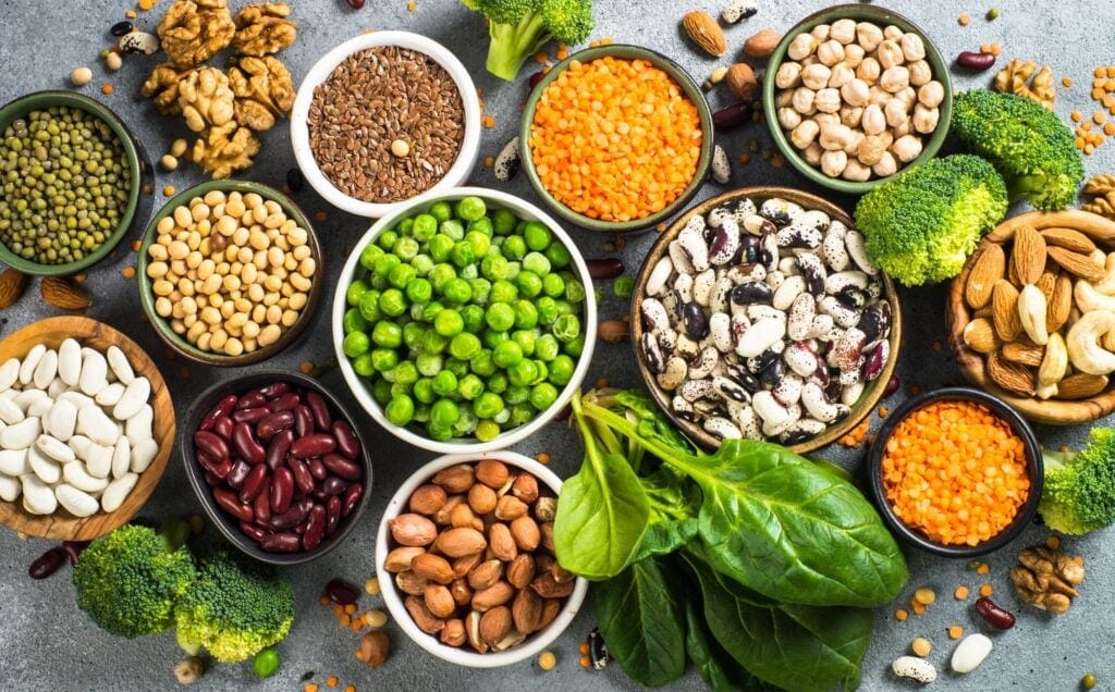 Plant-Based Proteins