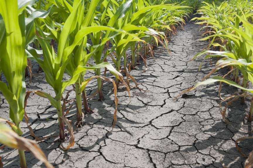 Inefficient Water Use in Agriculture