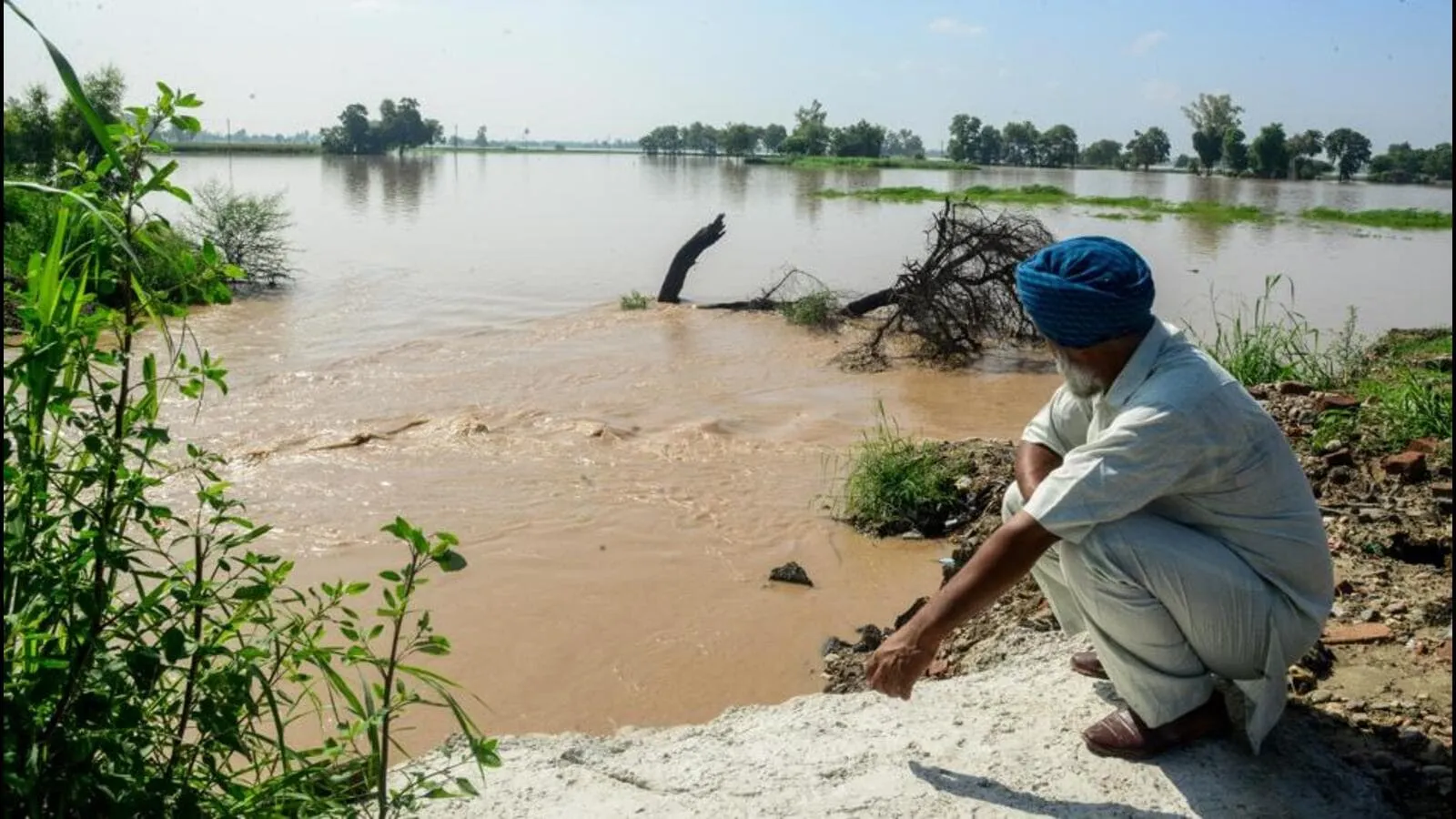 Why Floods Harm Crops in Punjab