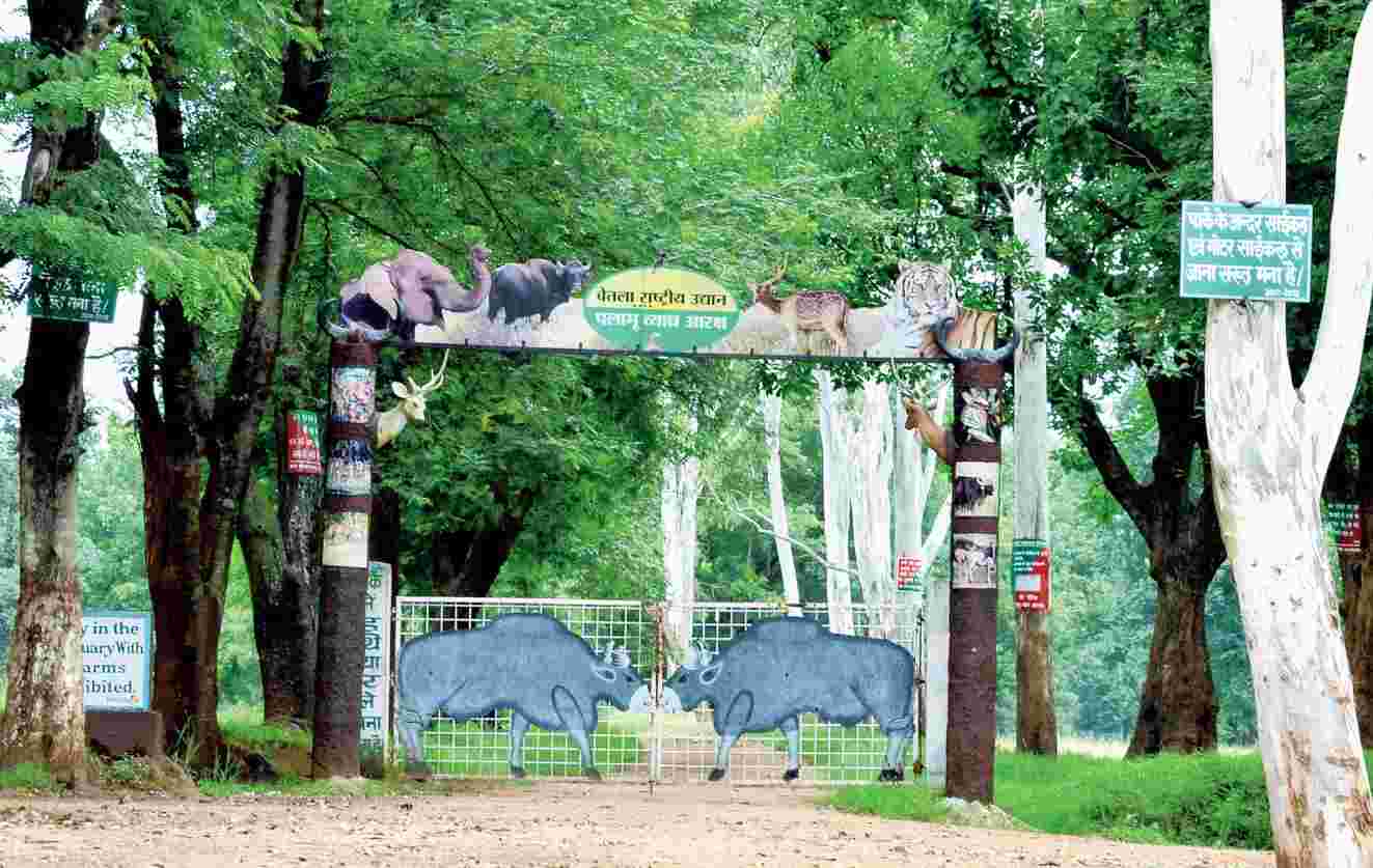 Betla National Park 