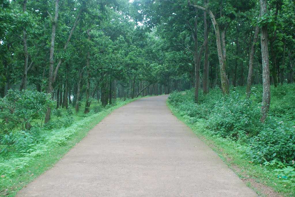 NetarhatTouristPlaces