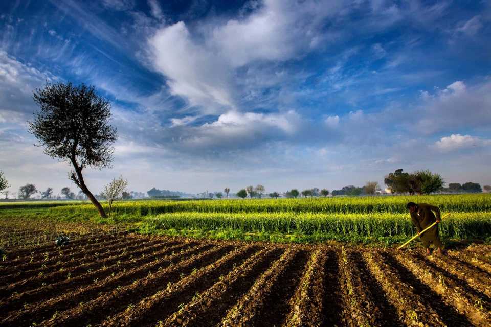 Revolutionising Irrigation Management