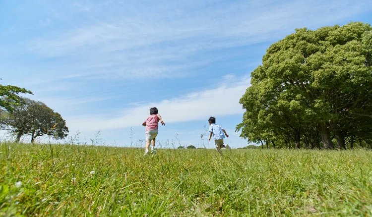 Best Family-friendly Activities In Satpura National Park