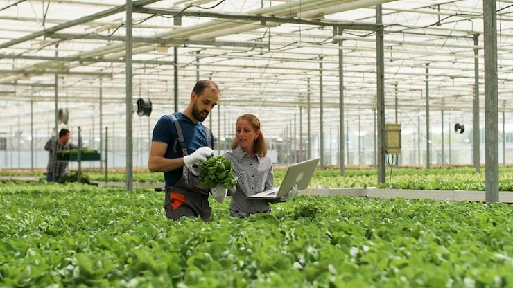 Businesses in Punjabs Agri-Tech