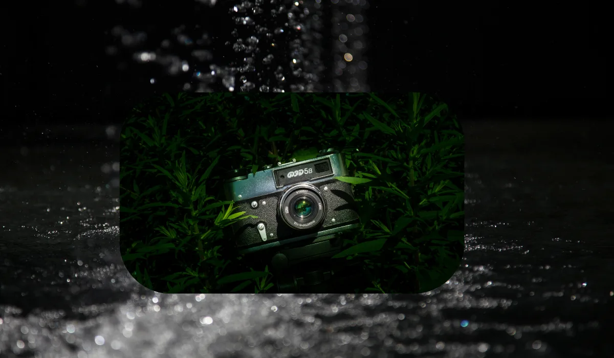 Photography Camera That Works Well In Rain