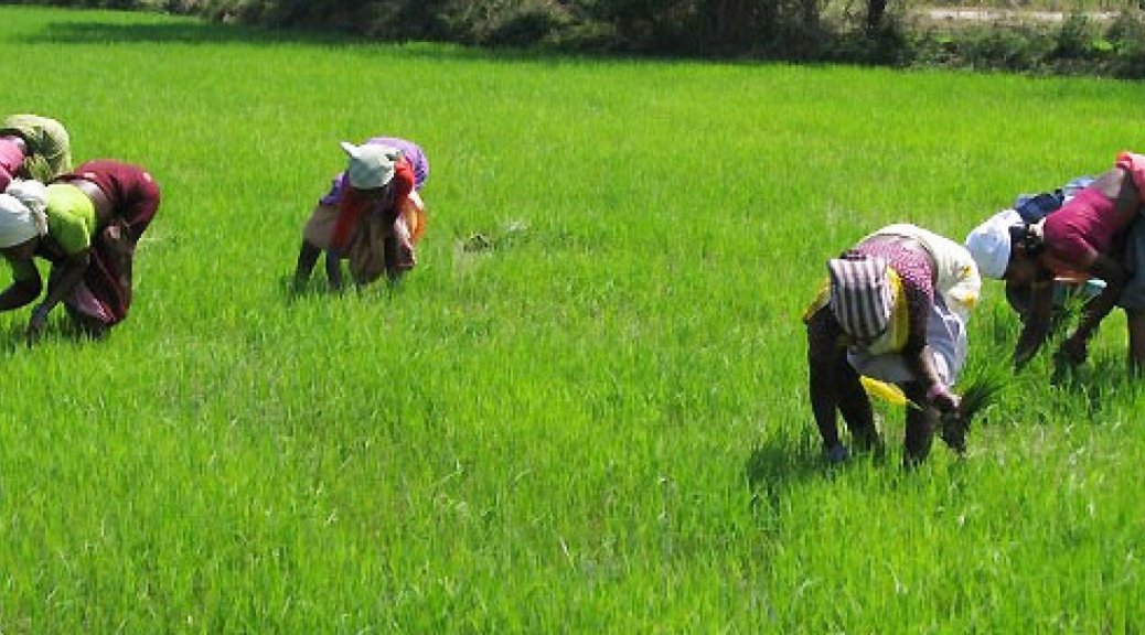 What is smart farming