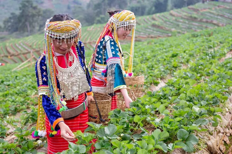 The Speciality of Assam Silk