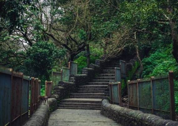 Why Choose the Fort to Flora Trail