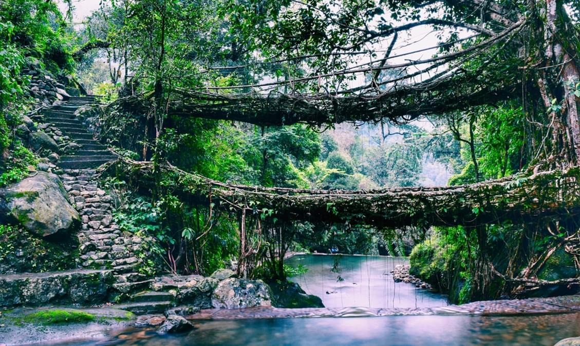 Famous Places to Visit In Meghalaya