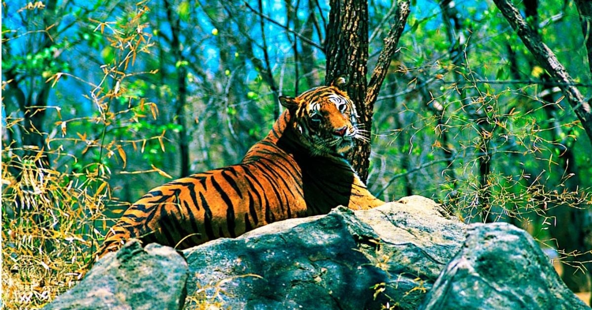 Namdapha National Park So Famous
