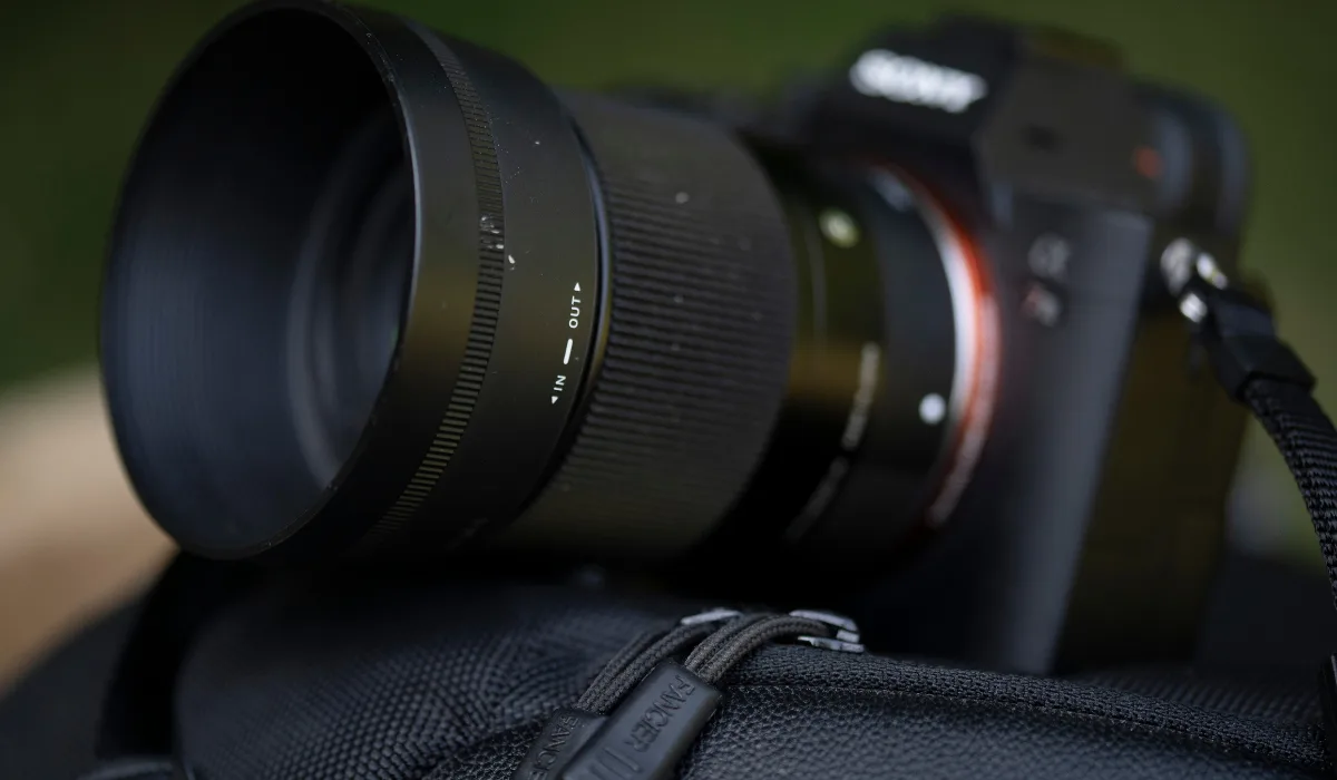 Best Beginner Camera For Wildlife Photography Best Beginner Camera For Wildlife Photography