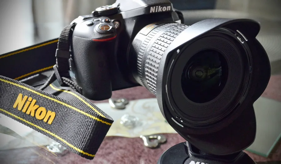 Best Beginner Camera For Wildlife Photography Best Beginner Camera For Wildlife Photography