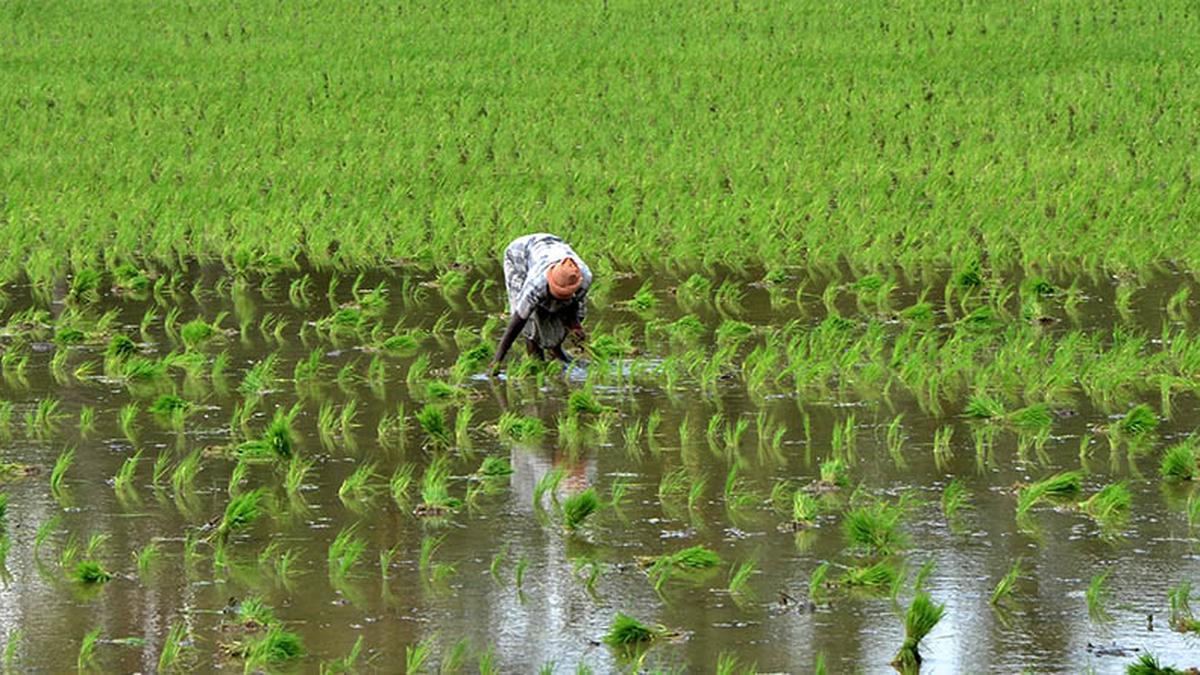 Financial Challenges of Farmers in Tamil Nadu