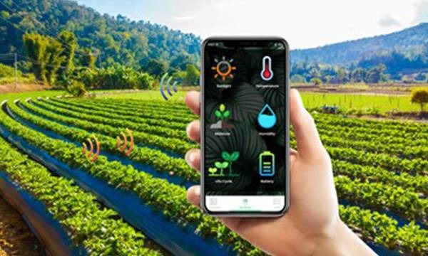 IoT Sensors