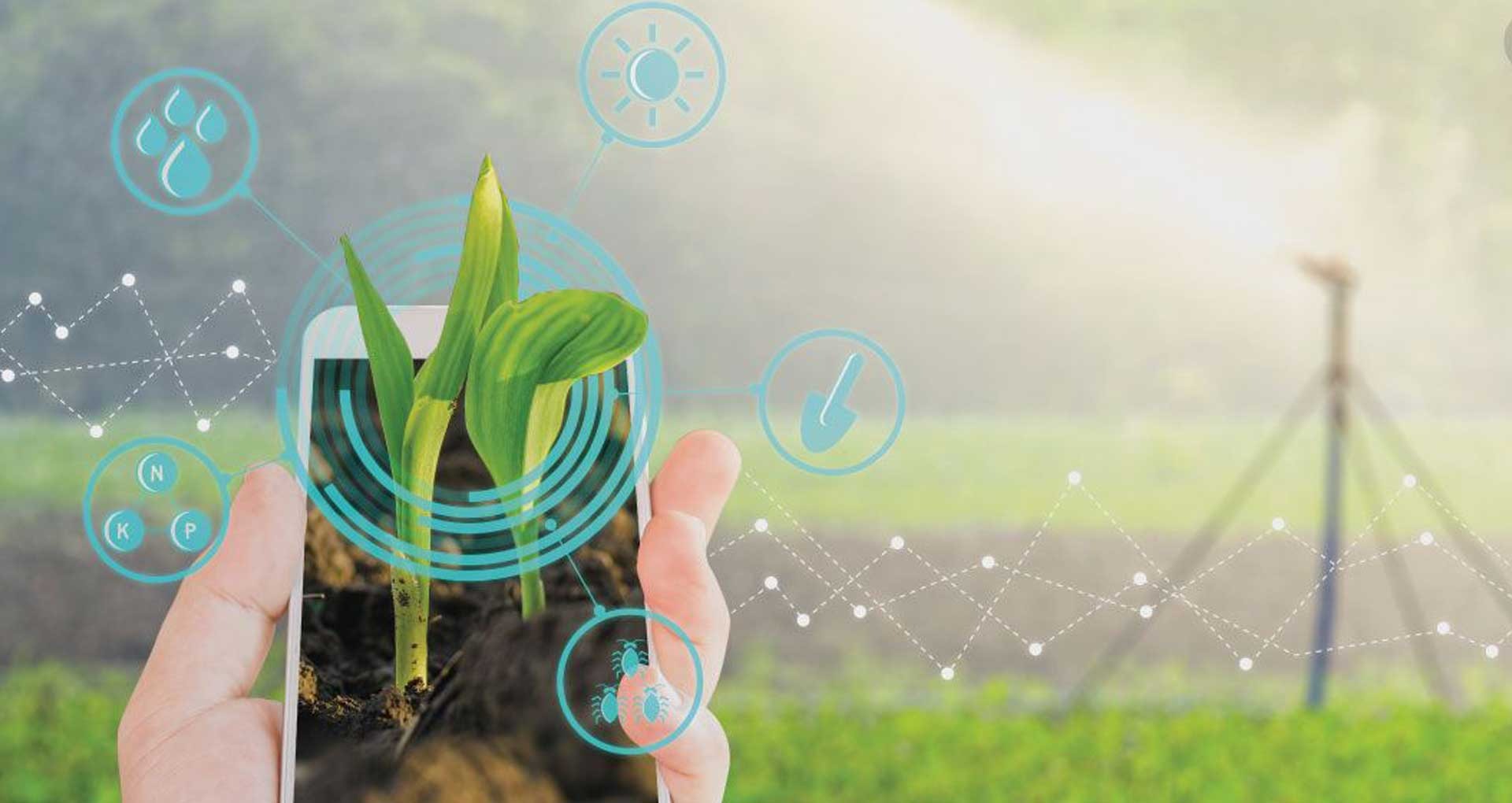 IoT in Agriculture
