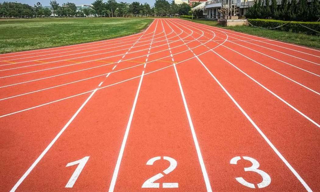 Support from Government and Sports Organizations