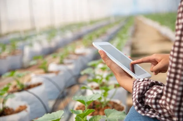 What is agritech