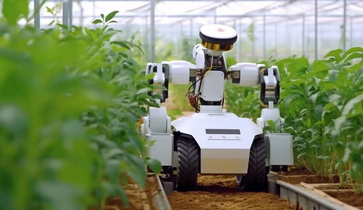 Agri-Tech Startup in Assam
