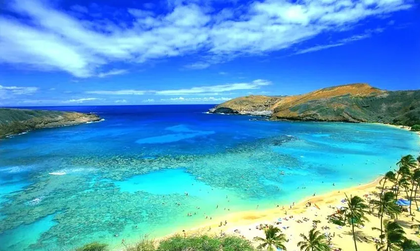 Paradise Beach