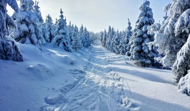 Winter Destinations For Nature Lovers