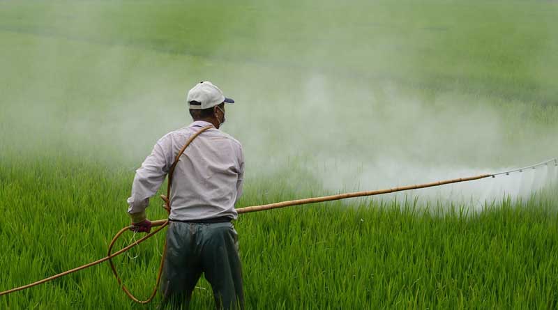 Role of Soil and Weather