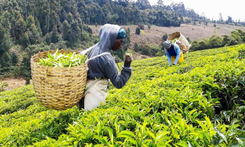 Farmers Experience Tangible Benefits