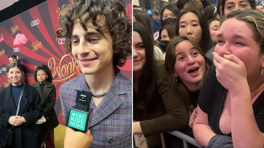 Timothée Chalamet Fan Contest