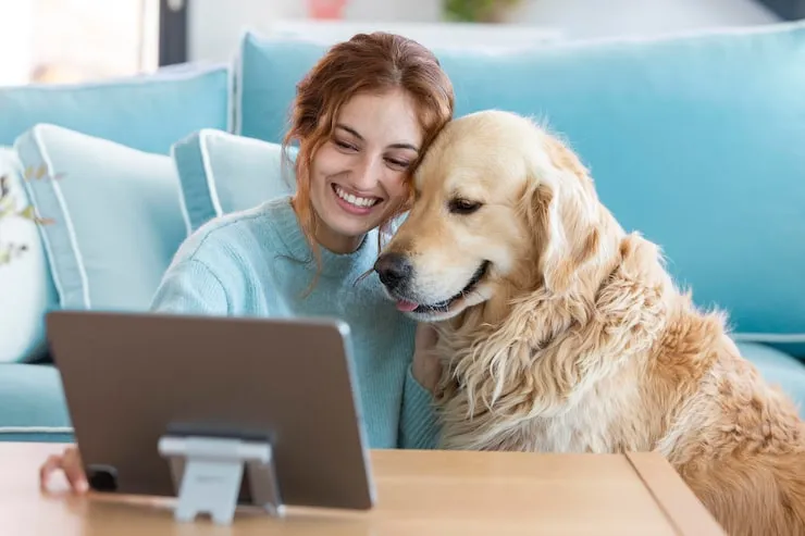 What Is Pet Insurance And Why You Might Need It