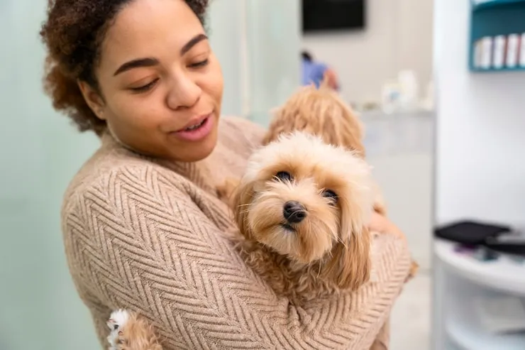 Why pet protections makes sense for pet owners