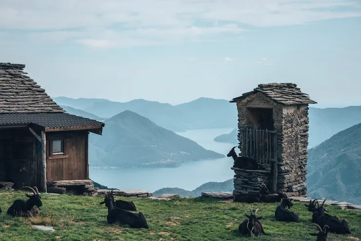 Why is this important for young people