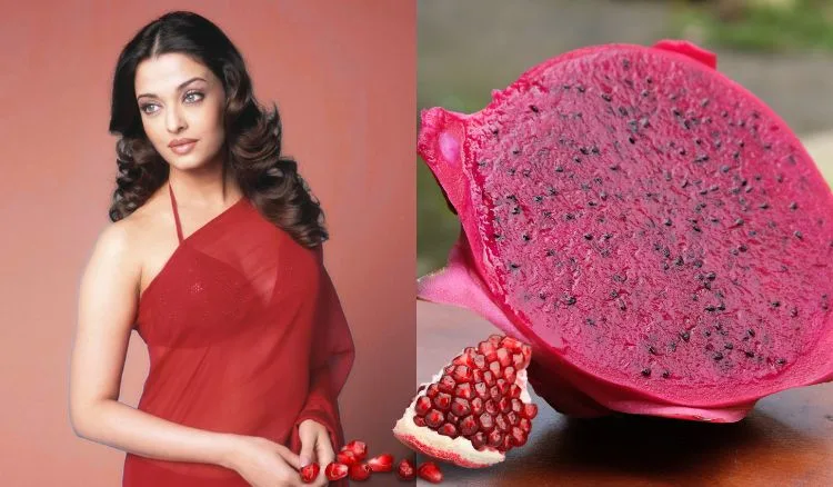 Bollywood Actors Fitness Routine And Diet