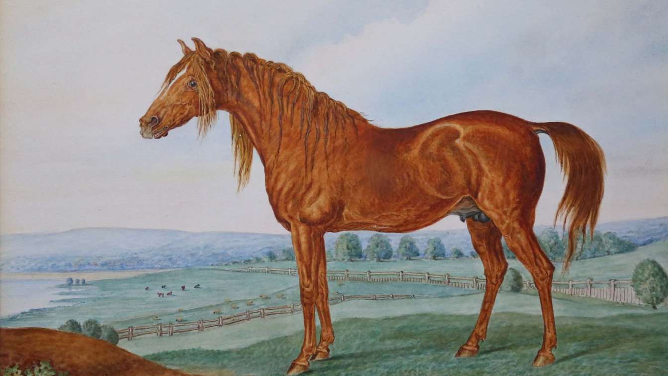 Copenhagen: The Duke of Wellingtons Mount