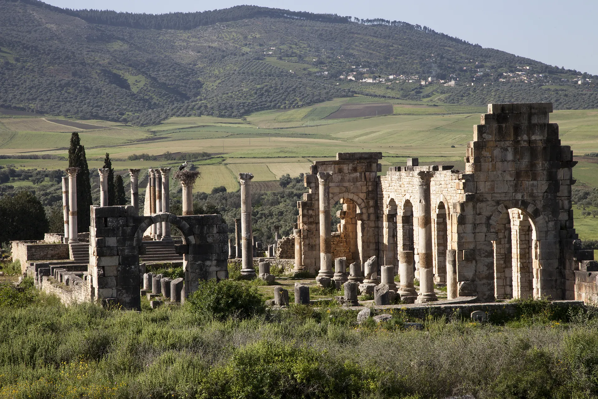 Volubilis, Morocco�