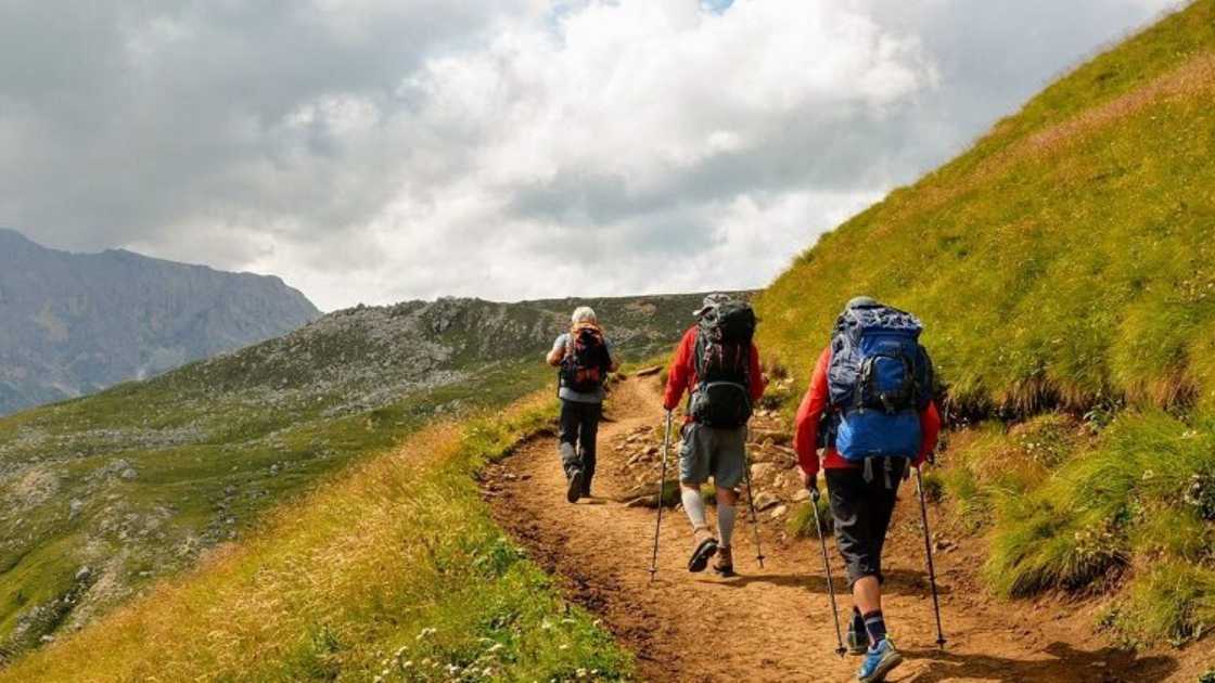 Trekking Heaven in the Western Ghats: Coorg and Wayanad