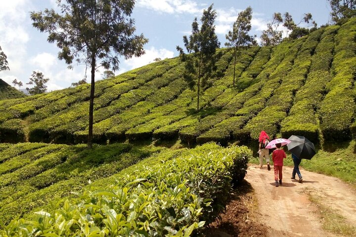 Best�Offbeat�Places to�Visit in India