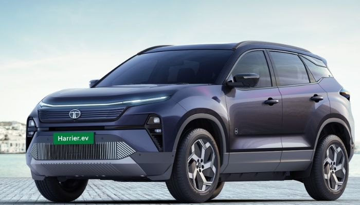 Things to Check Before Buying an Electric Car