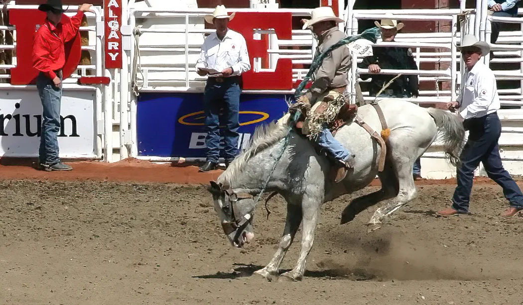 Calgary Stampede