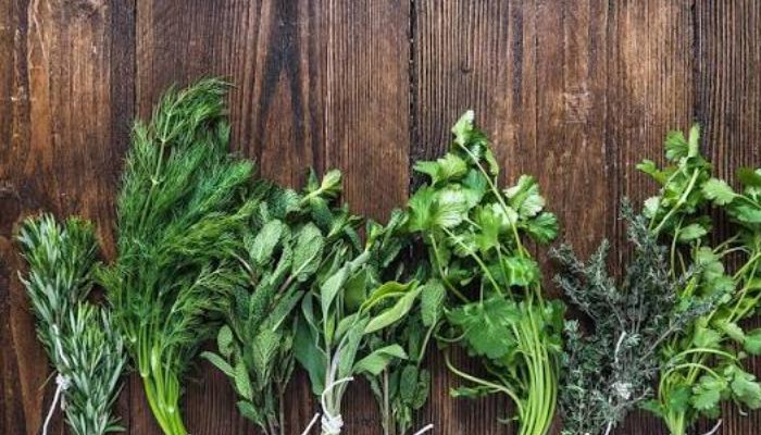 Make herbs the hero, Persia