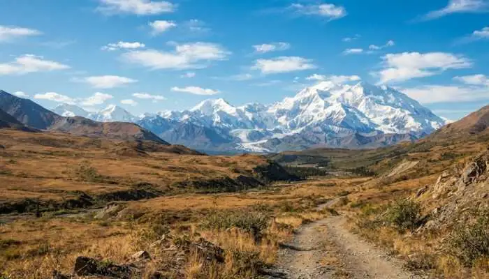 A sunny landscape in Alaska showing a stark contrast of dry, warm terrain under a bright blue sky. A sunny landscape in Alaska showing a stark contrast of dry, warm terrain under a bright blue sky.