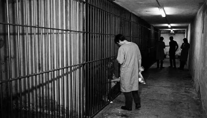 Dark hallway with prison cell bars representing the 1971 Stanford Prison Experiment Dark hallway with prison cell bars representing the 1971 Stanford Prison Experiment